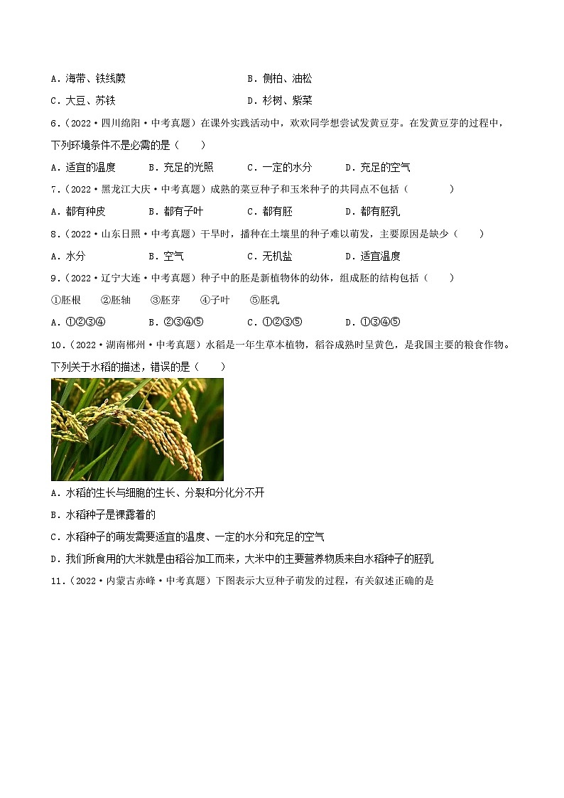 专题04 生物圈中的绿色植物（习题帮）（原卷版）-备战2023年中考生物一轮复习考点帮（全国通用）第2页