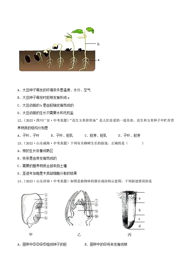 专题04 生物圈中的绿色植物（习题帮）（原卷版）-备战2023年中考生物一轮复习考点帮（全国通用）第3页