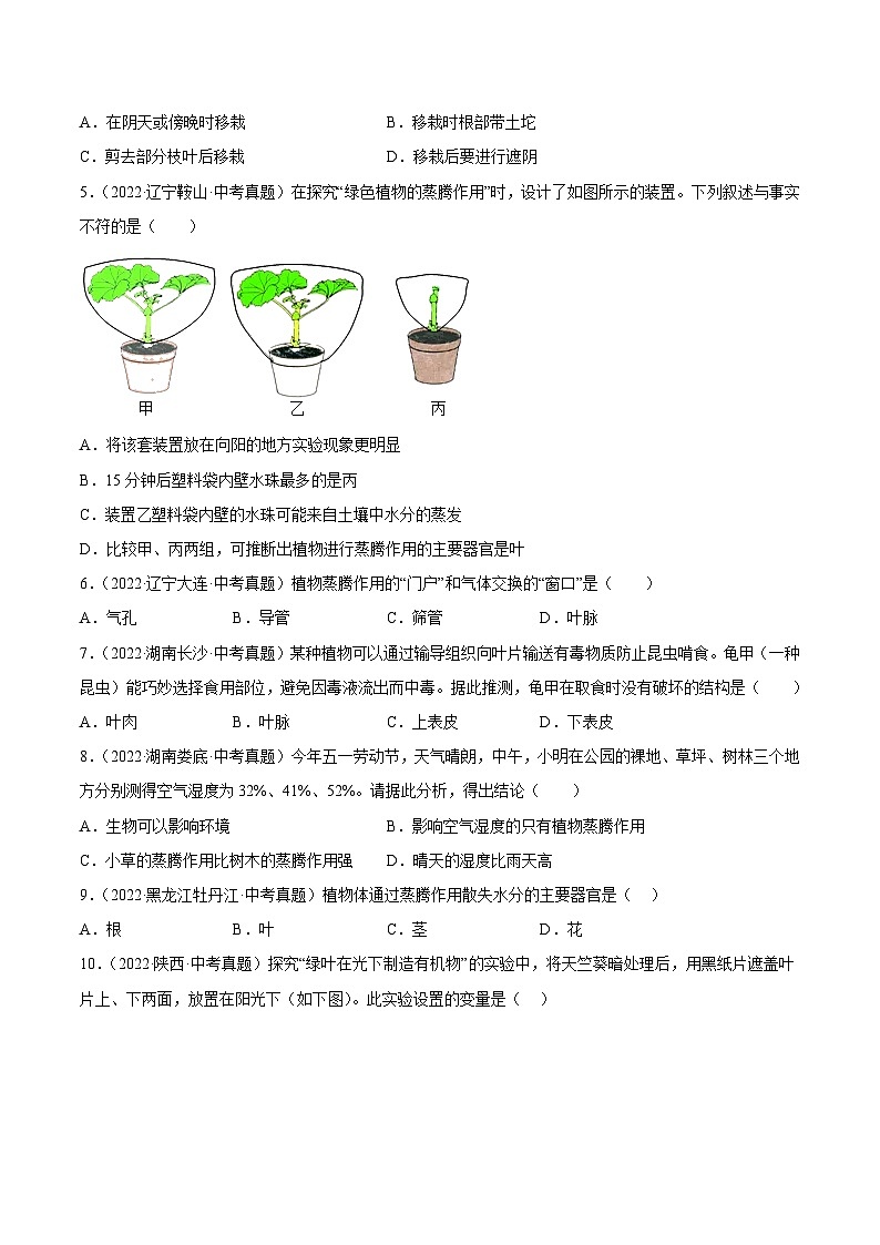 专题05 绿色植物的蒸腾作用、光合作用和呼吸作用 （习题帮）（原卷版）-备战2023年中考生物一轮复习考点帮（全国通用）02