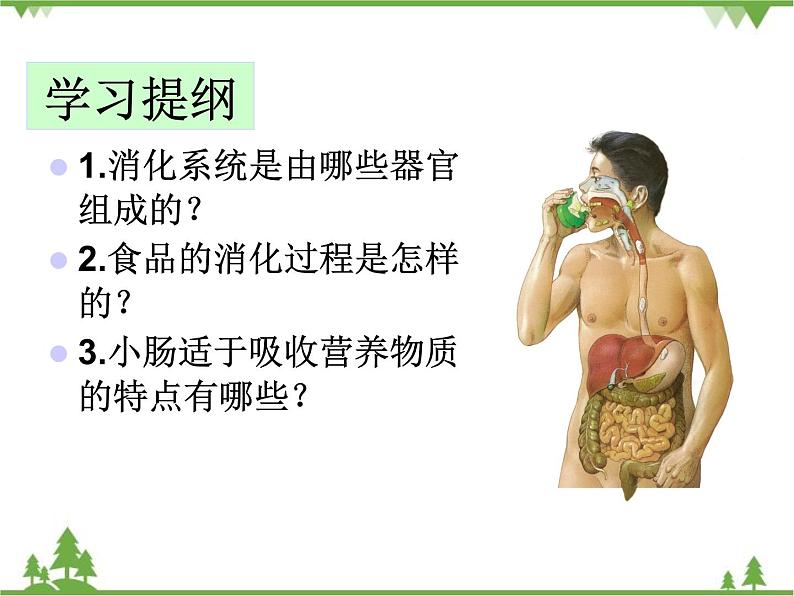 人教版生物七年级下册 第2章 第2节 消化和吸收2课件04