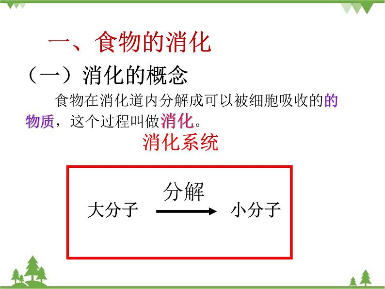 人教版生物七年级下册 第2章 第2节 消化和吸收2课件05