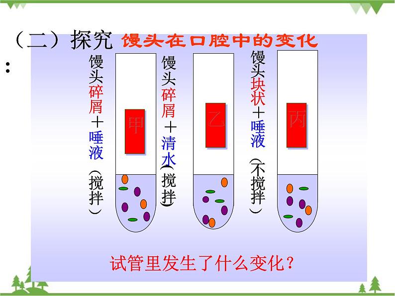 人教版生物七年级下册 第2章 第2节 消化和吸收2课件08