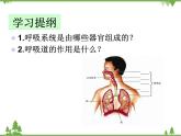 人教版生物七年级下册 第3章 第1节 呼吸道对空气的处理2课件