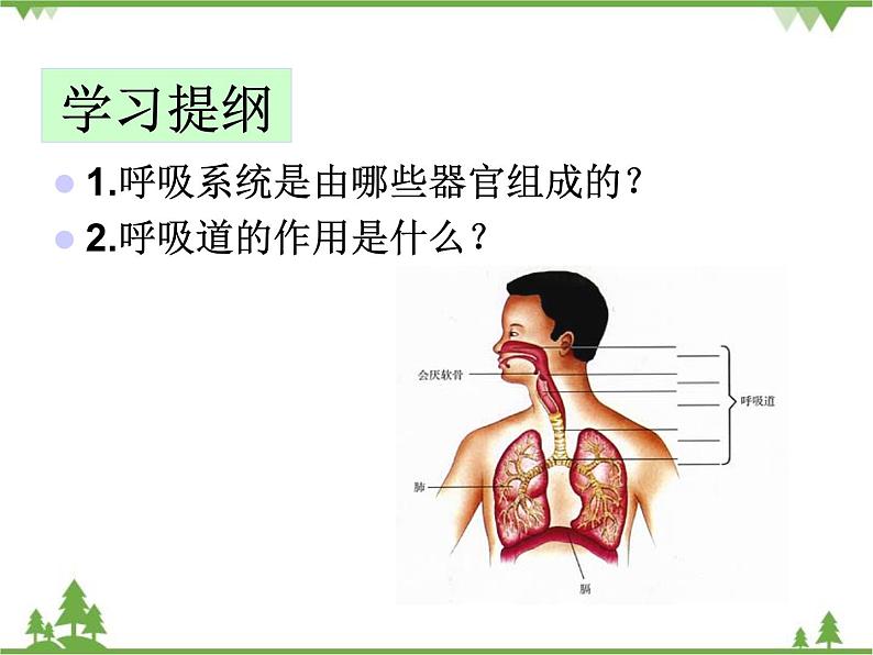 人教版生物七年级下册 第3章 第1节 呼吸道对空气的处理2课件第5页