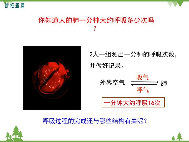 人教版生物七年级下册 第3章 第2节 发生在肺内的气体交换1课件05