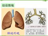 人教版生物七年级下册 第3章 第2节 发生在肺内的气体交换2课件