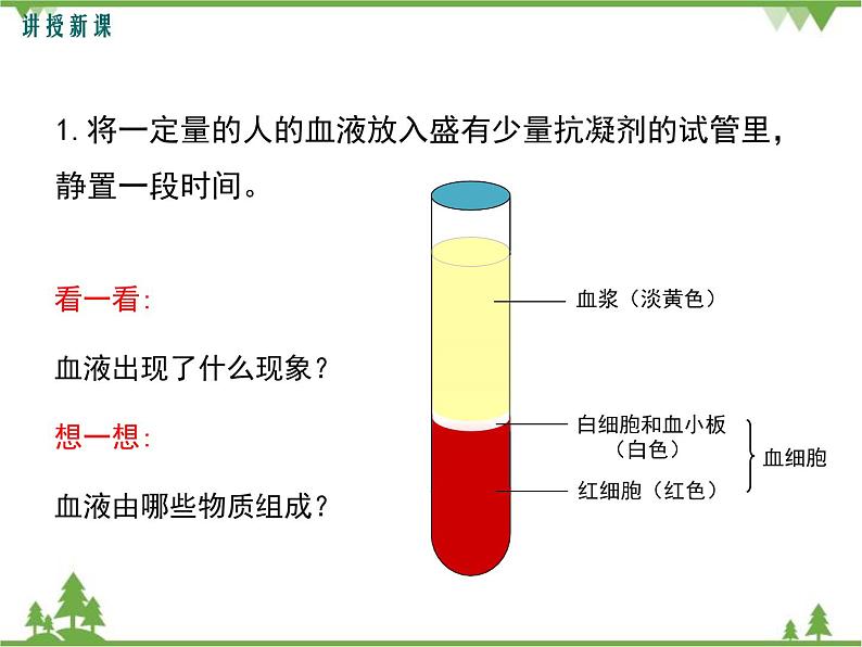 人教版生物七年级下册 第4章 第1节 流动的组织——血液1课件04