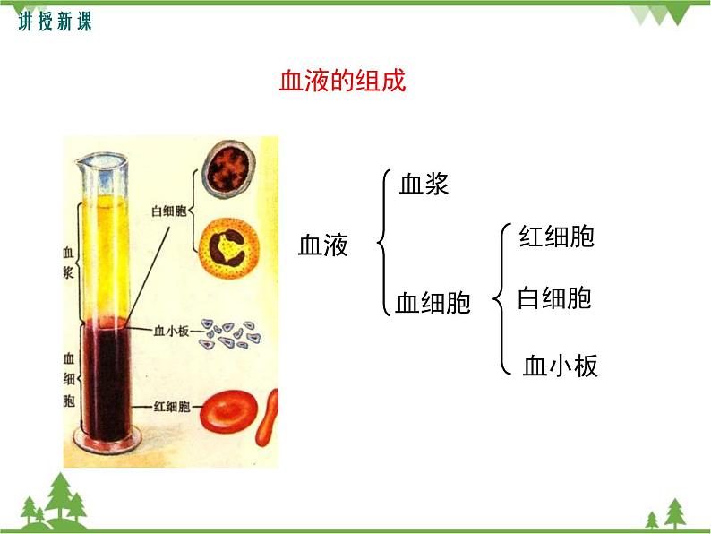 人教版生物七年级下册 第4章 第1节 流动的组织——血液1课件06