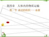 人教版生物七年级下册 第4章 第1节 流动的组织——血液2课件