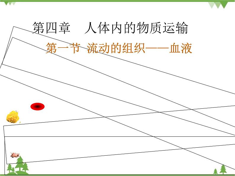 人教版生物七年级下册 第4章 第1节 流动的组织——血液2课件01