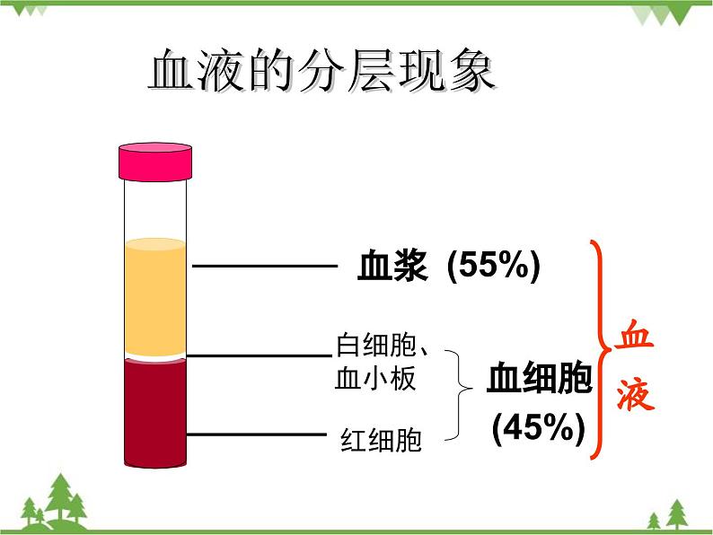 人教版生物七年级下册 第4章 第1节 流动的组织——血液2课件07