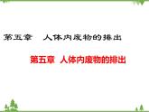 人教版生物七年级下册 第5章 人体内废物的排出1课件