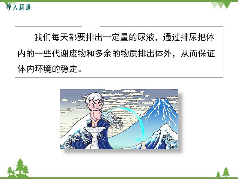 人教版生物七年级下册 第5章 人体内废物的排出1课件第2页