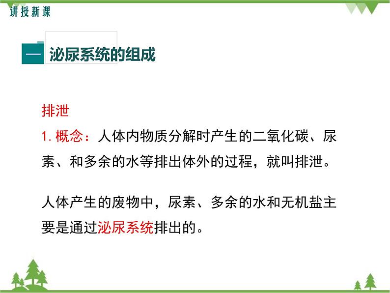 人教版生物七年级下册 第5章 人体内废物的排出1课件第4页