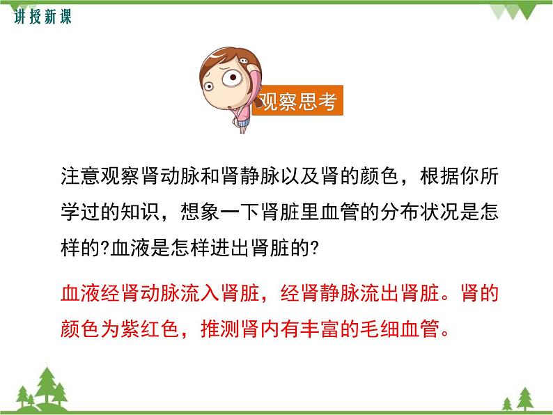 人教版生物七年级下册 第5章 人体内废物的排出1课件第6页