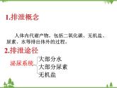 人教版生物七年级下册 第5章 人体内废物的排出2课件