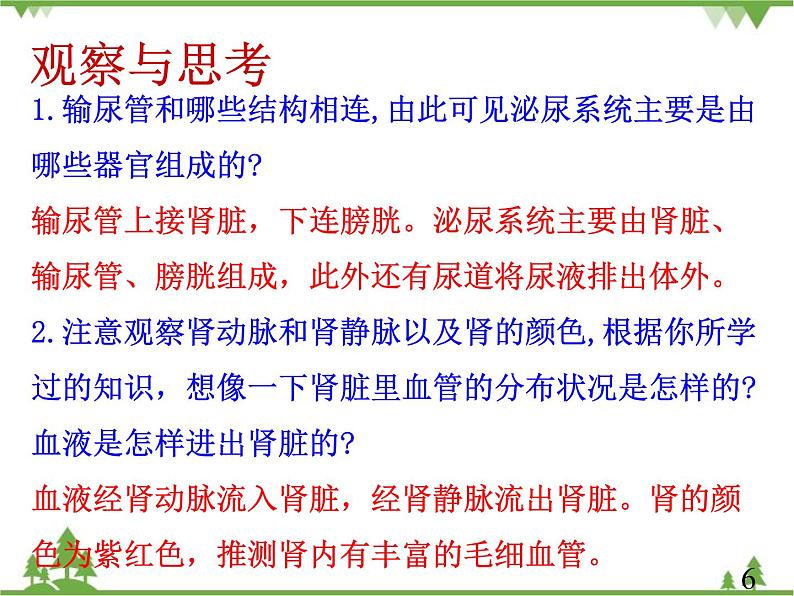 人教版生物七年级下册 第5章 人体内废物的排出2课件第6页