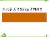 人教版生物七年级下册 第6章 第1节 人体对外界环境的感知2课件