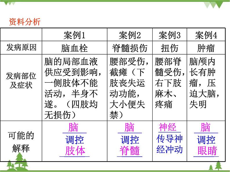 人教版生物七年级下册 第6章 第2节 神经系统的组成2课件第5页