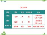 人教版生物七年级下册 第4章 第3节 输送血液的泵——心脏1 第1课时 心脏的结构和功能课件