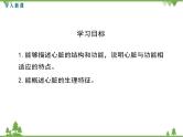 人教版生物七年级下册 第4章 第3节 输送血液的泵——心脏1 第1课时 心脏的结构和功能课件