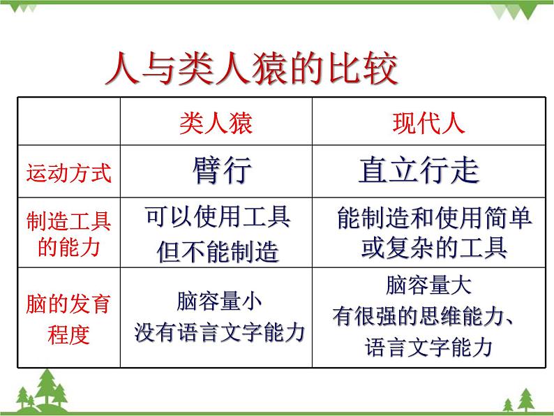 人教版生物七年级下册 第1章 第1节 人类的起源和发展2课件第8页