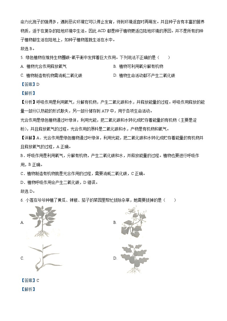 2023年湖南省岳阳市中考生物真题（解析版）03