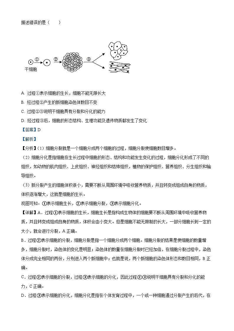 2023年山东省临沂市中考生物真题（解析版）第3页