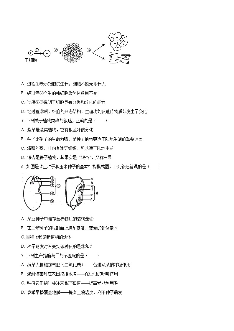 2023年山东省临沂市中考生物真题（原卷版）02