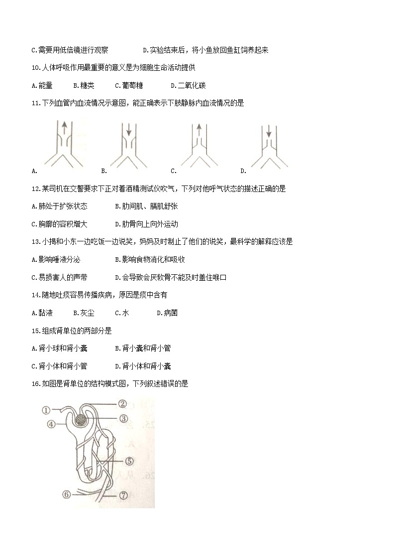 广东省揭阳市揭东区2022-2023学年七年级下学期期末生物试题（含答案）02