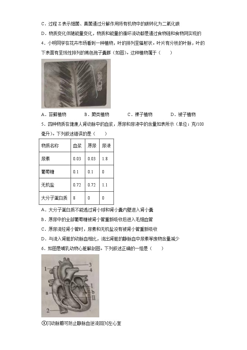 2023年山东省泰安市中考生物真题（含答案）第2页