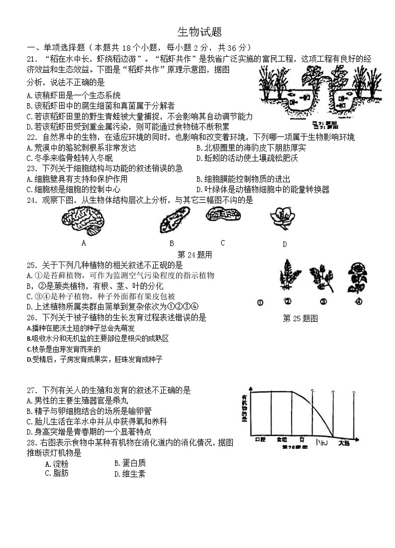 2023年湖北省十堰市中考生物真题01