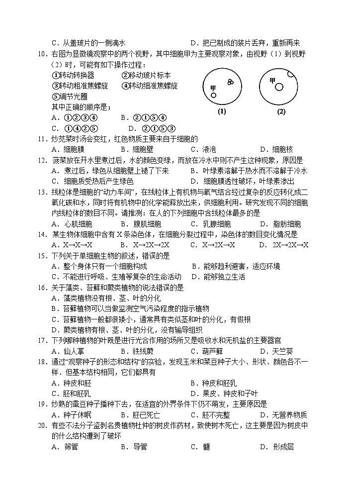 湖北省十堰市郧阳区2022--2023学年七年级上学期期末调研监测生物试题02
