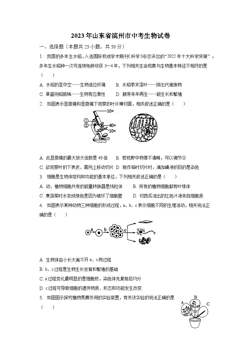 2023年山东省滨州市中考生物试卷（含解析）01