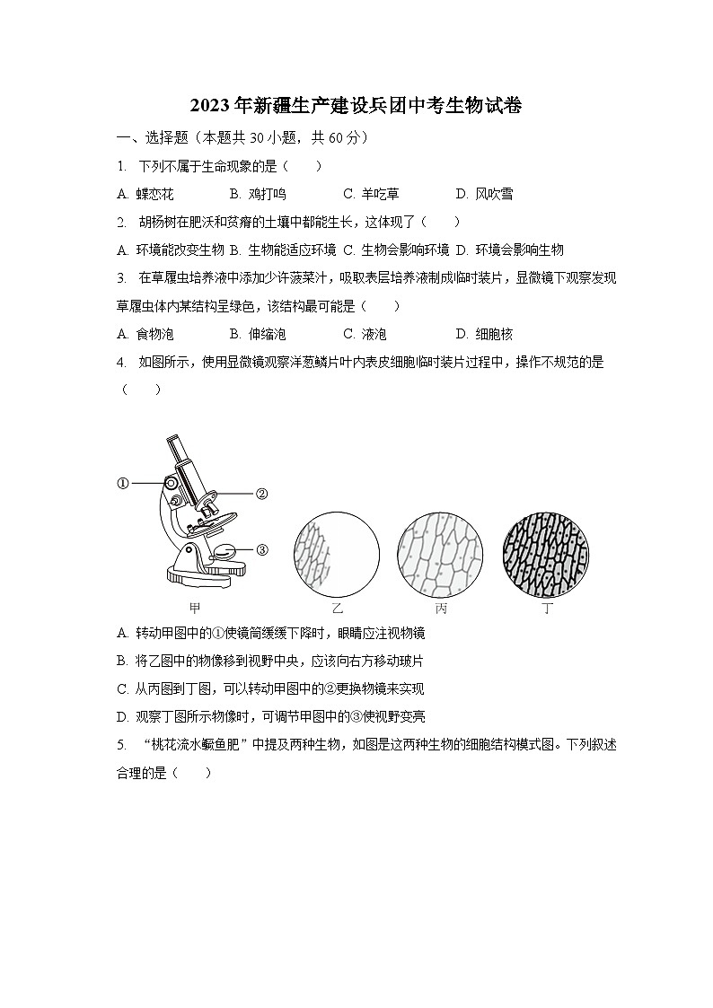 2023年新疆生产建设兵团中考生物试卷（含解析）01