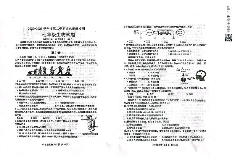 山东省青岛市城阳区2022-2023学年七年级下学期期末考试生物试题第1页