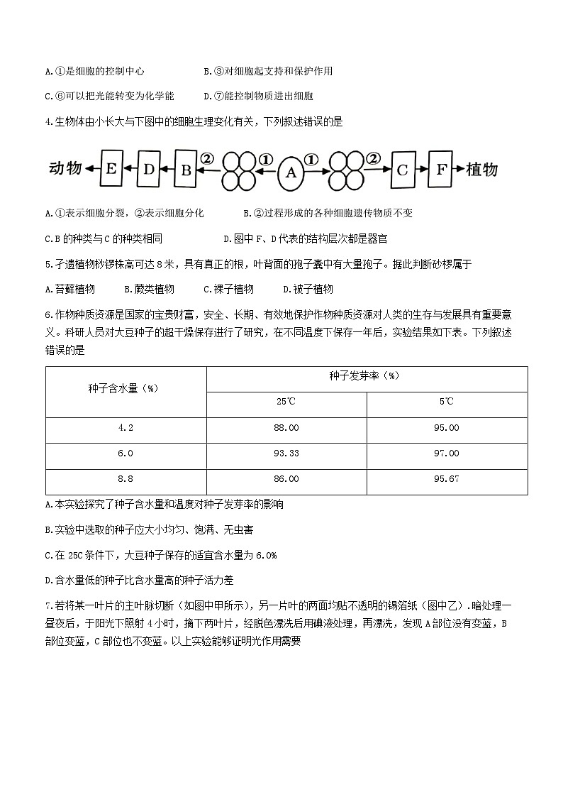 2023年云南省昭通市昭阳区中考二模生物试题（含答案）02