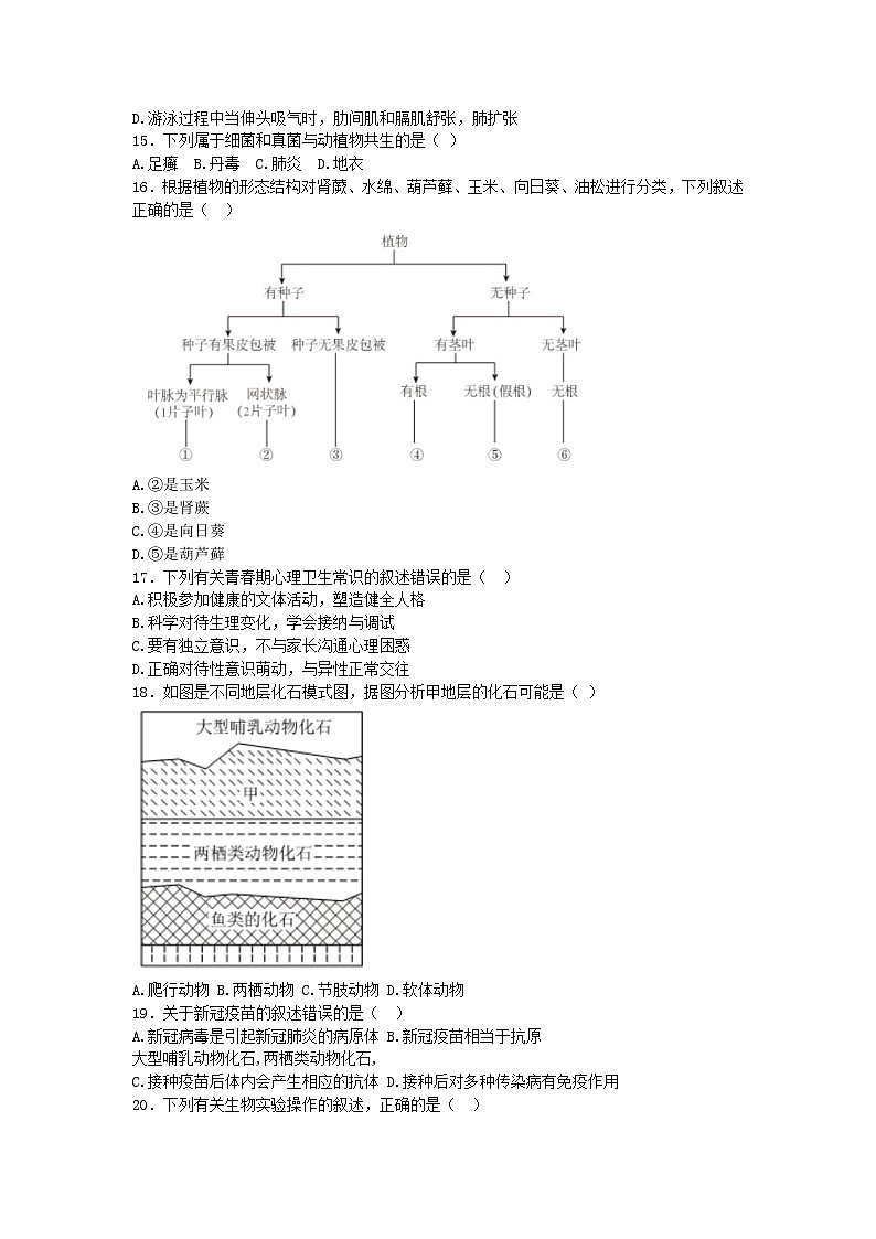 2023年吉林省长春市汽车经开区八年级6月检测生物试卷（含答案）第3页