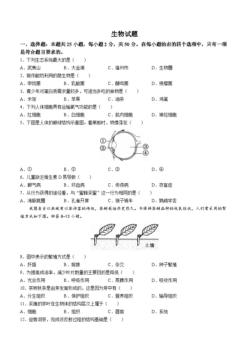 2023年福建省中考生物中考真题01