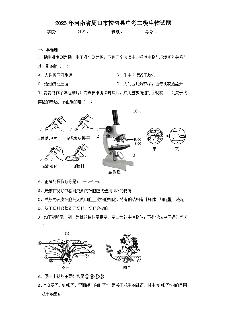 2023年河南省周口市扶沟县中考二模生物试题（含解析）01