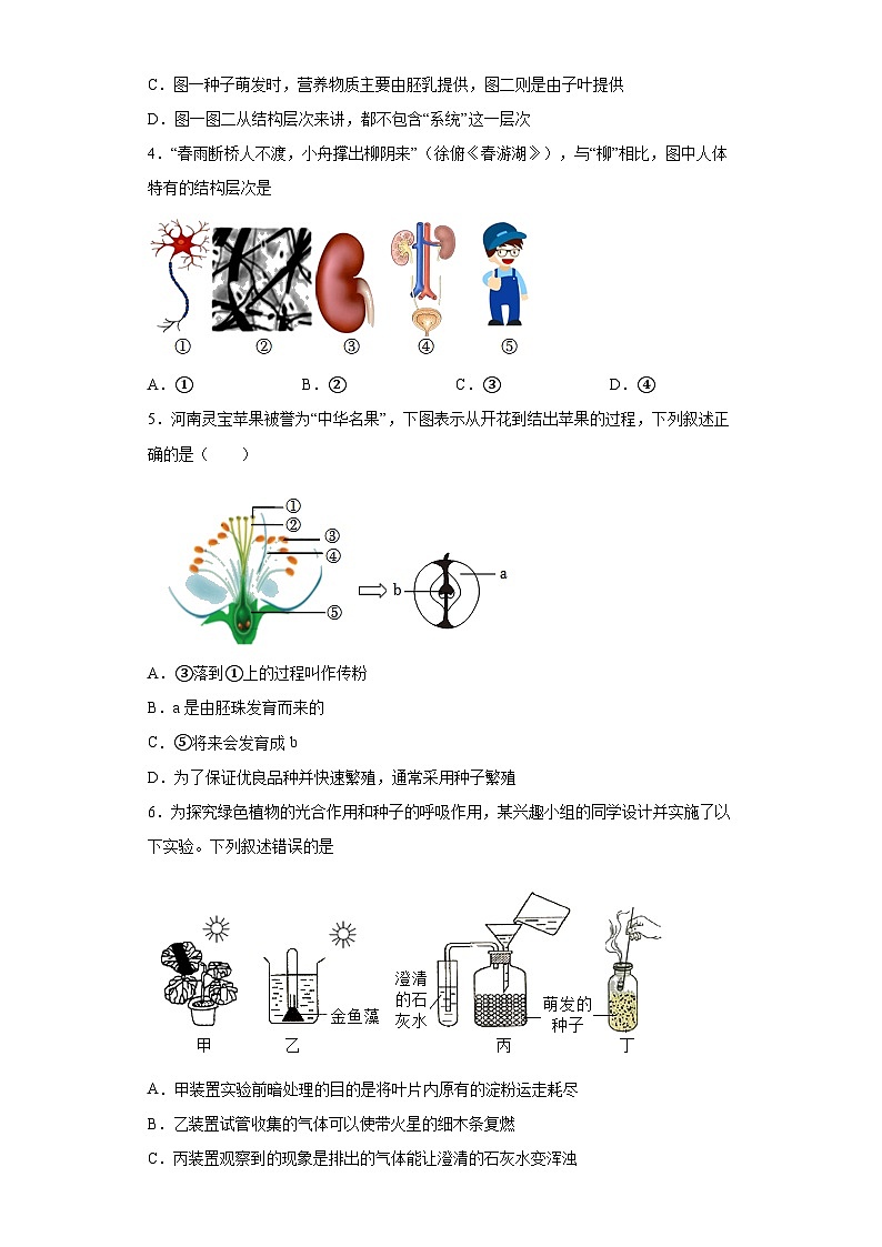 2023年河南省周口市扶沟县中考二模生物试题（含解析）02