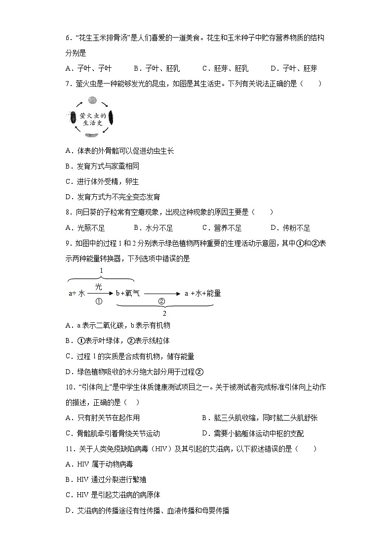 2023年宁夏自治区中考二模生物试题（含解析）02