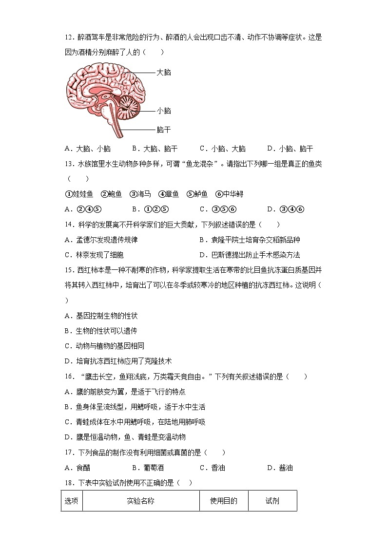 2023年宁夏自治区中考二模生物试题（含解析）03
