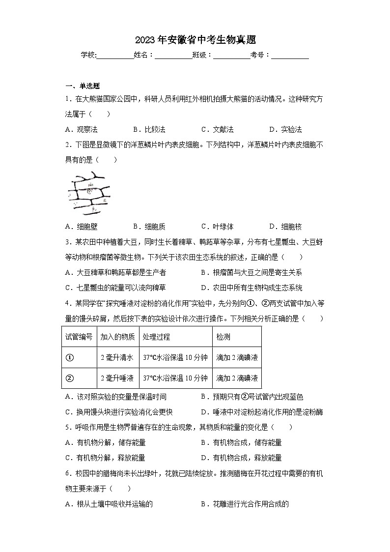 2023年安徽省中考生物真题（含解析）01