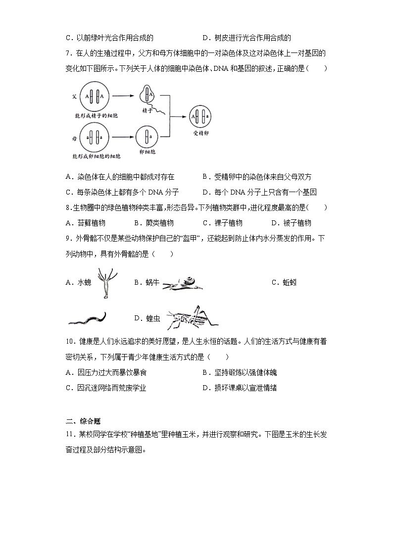 2023年安徽省中考生物真题（含解析）02