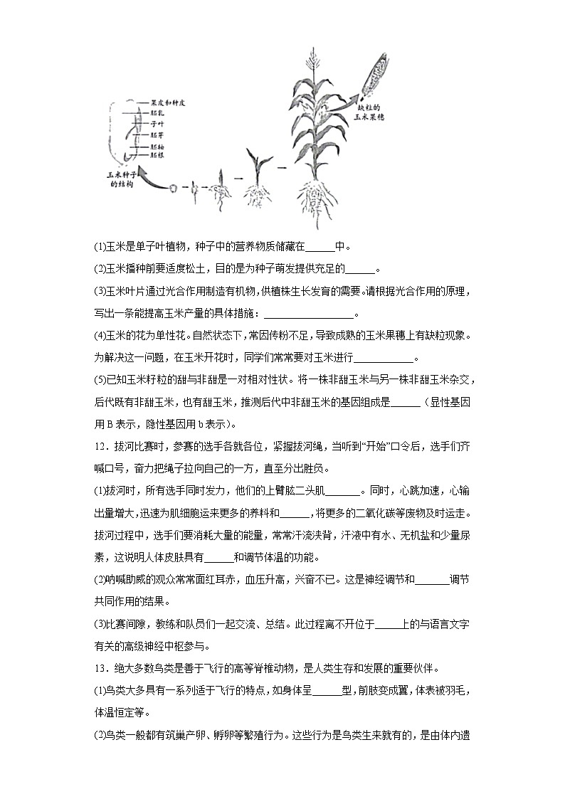 2023年安徽省中考生物真题（含解析）03