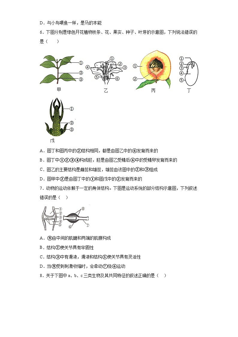 2023年内蒙古呼伦贝尔市阿荣旗中考二模生物试题（含解析）02
