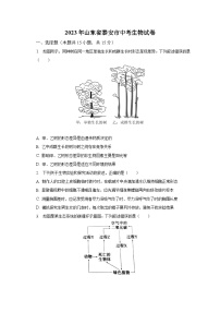 2023年山东省泰安市中考生物试卷（含解析）