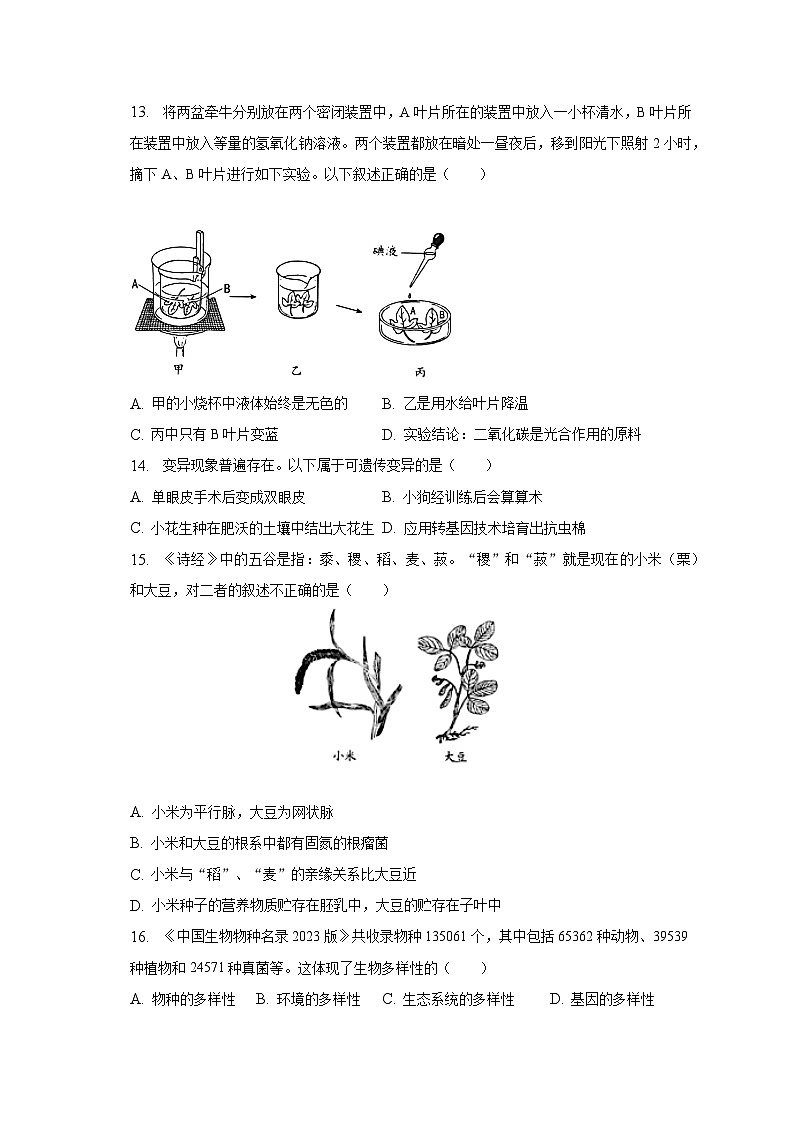 2023年山东省烟台市中考生物试卷（含解析）03
