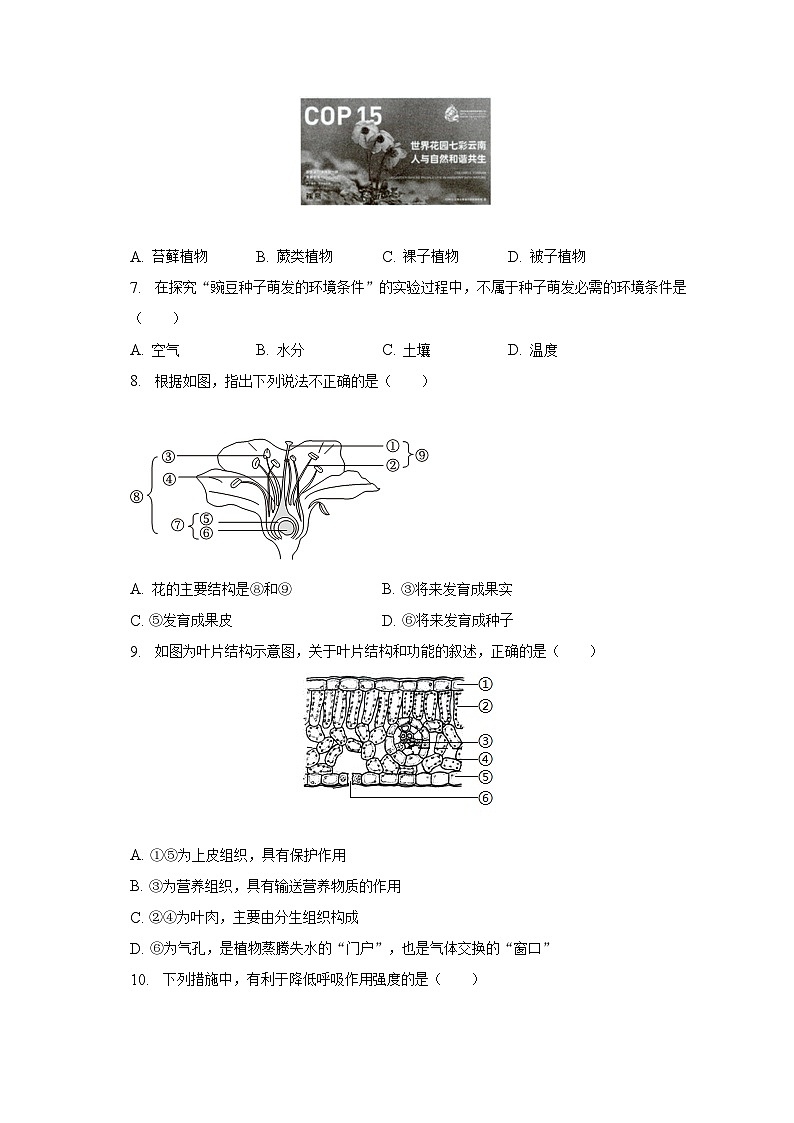 2023年云南省邵通市昭通市巧家县中考生物二模试卷（含解析）第2页